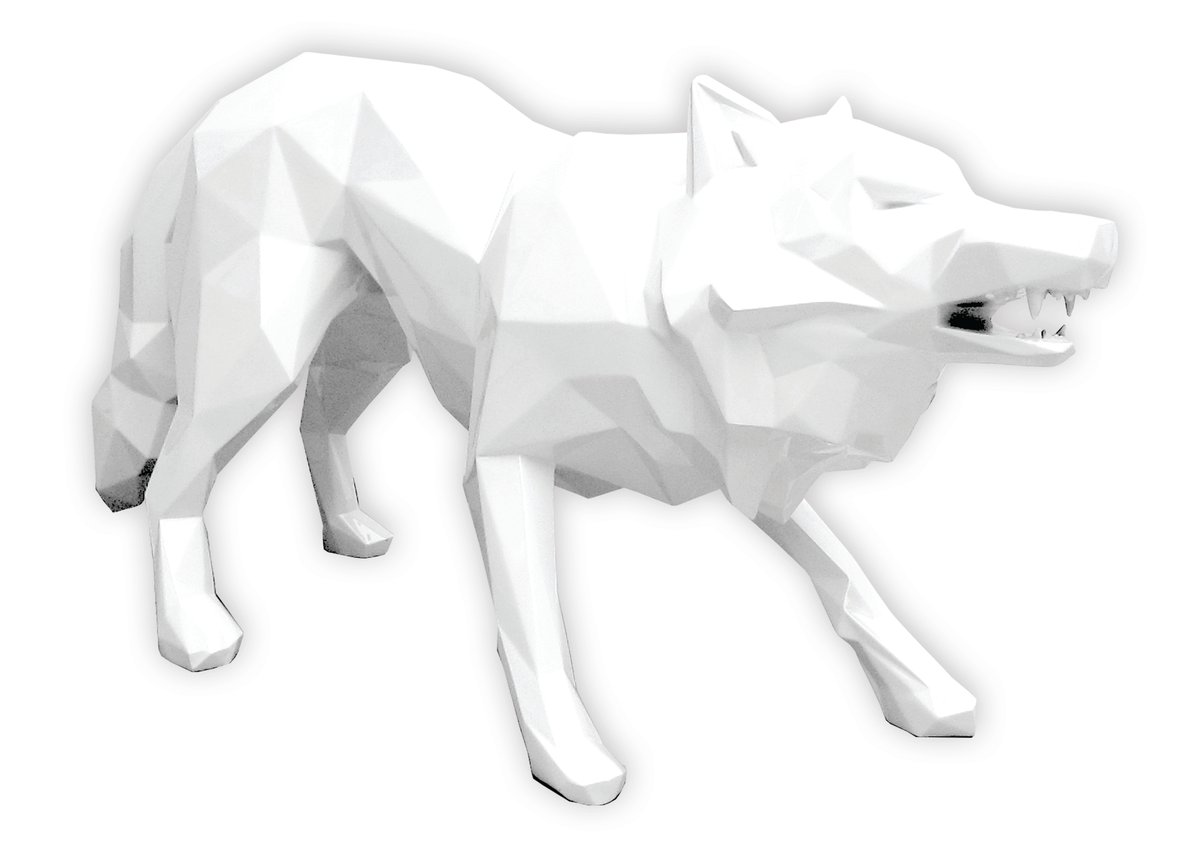 Loup attaque white