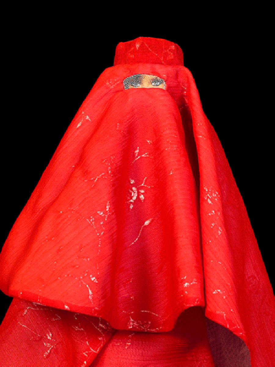 Red Burqua — Cécile Plaisance