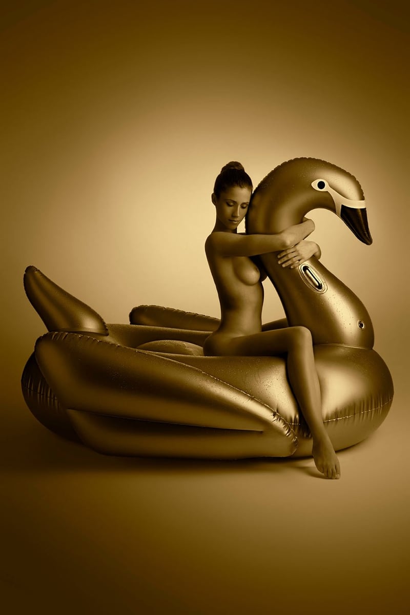 Leda and the Swan