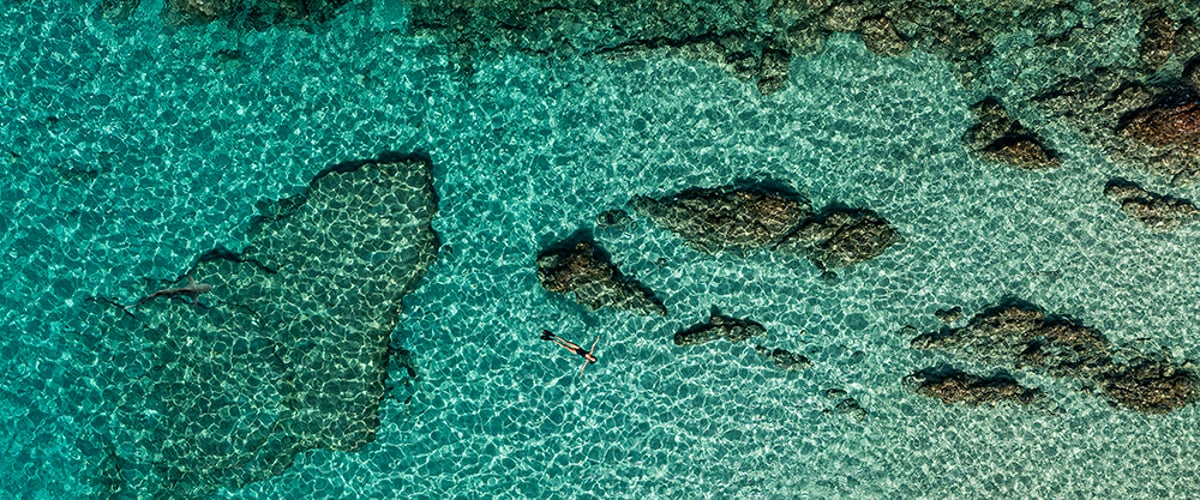 View from the sky : Turquoise water & Shark