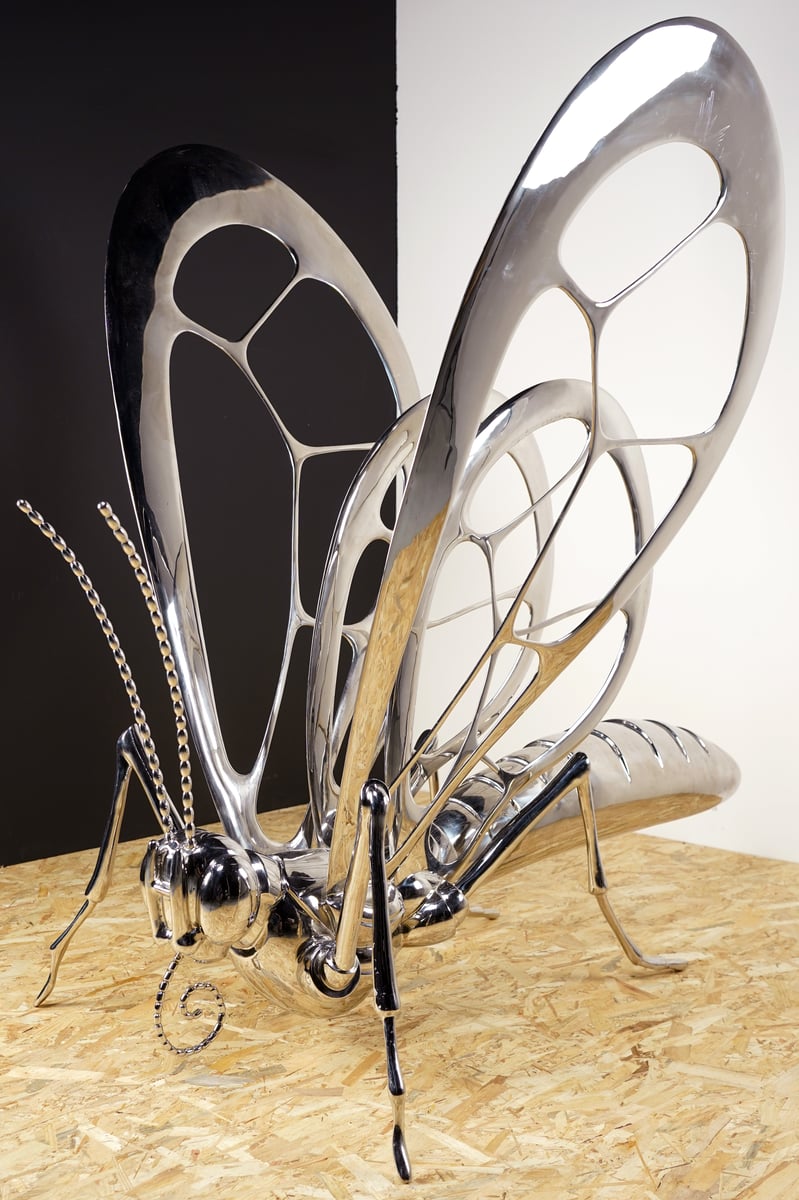 Papillon, 2022 — Mauro Corda