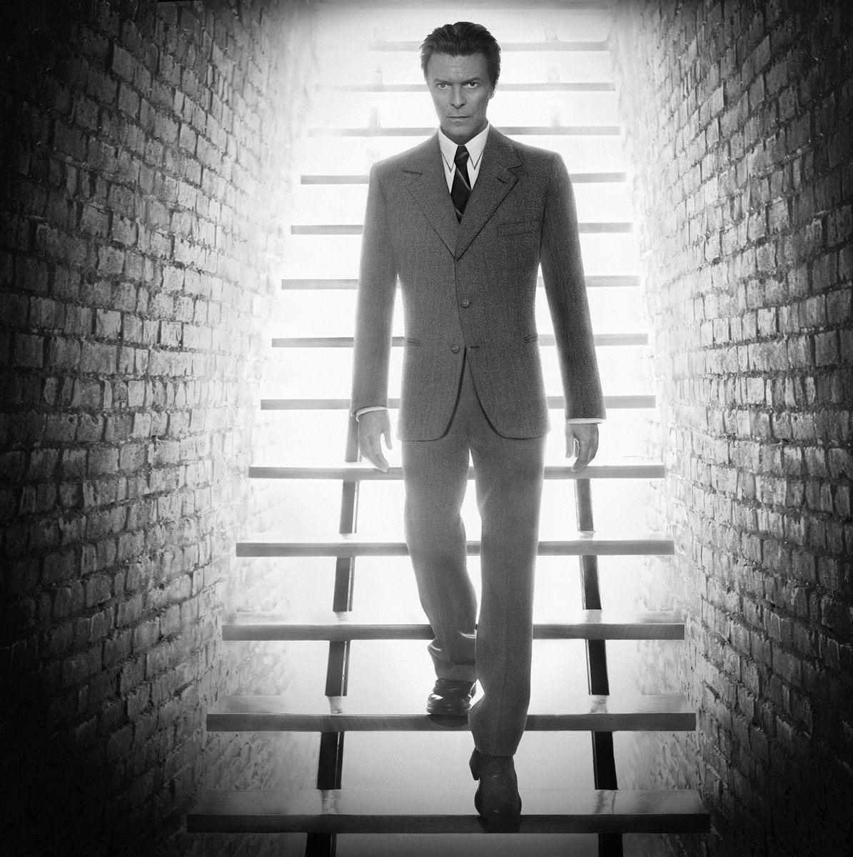 David Bowie : The Descent, B&W (medium) — Markus Klinko