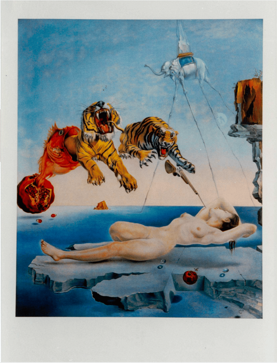 Dream caused by the flight of a bee around a pomegranate a second before awakaning — Salvador Dalí