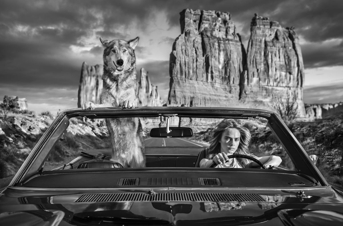 Drive (B&W) — David Yarrow