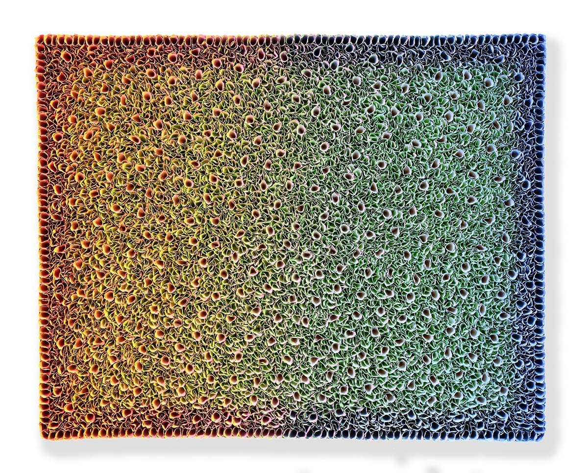 B19-D074