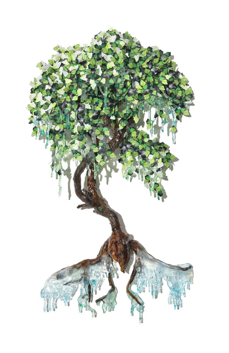 Wepping evergreen