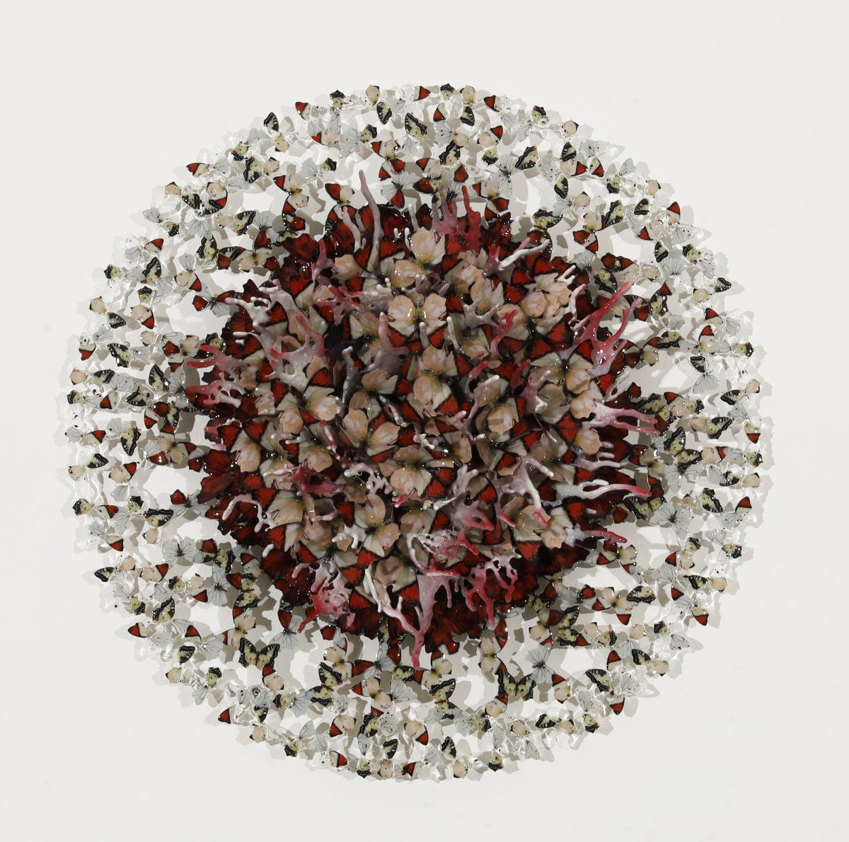 Dreamcatcher white thought