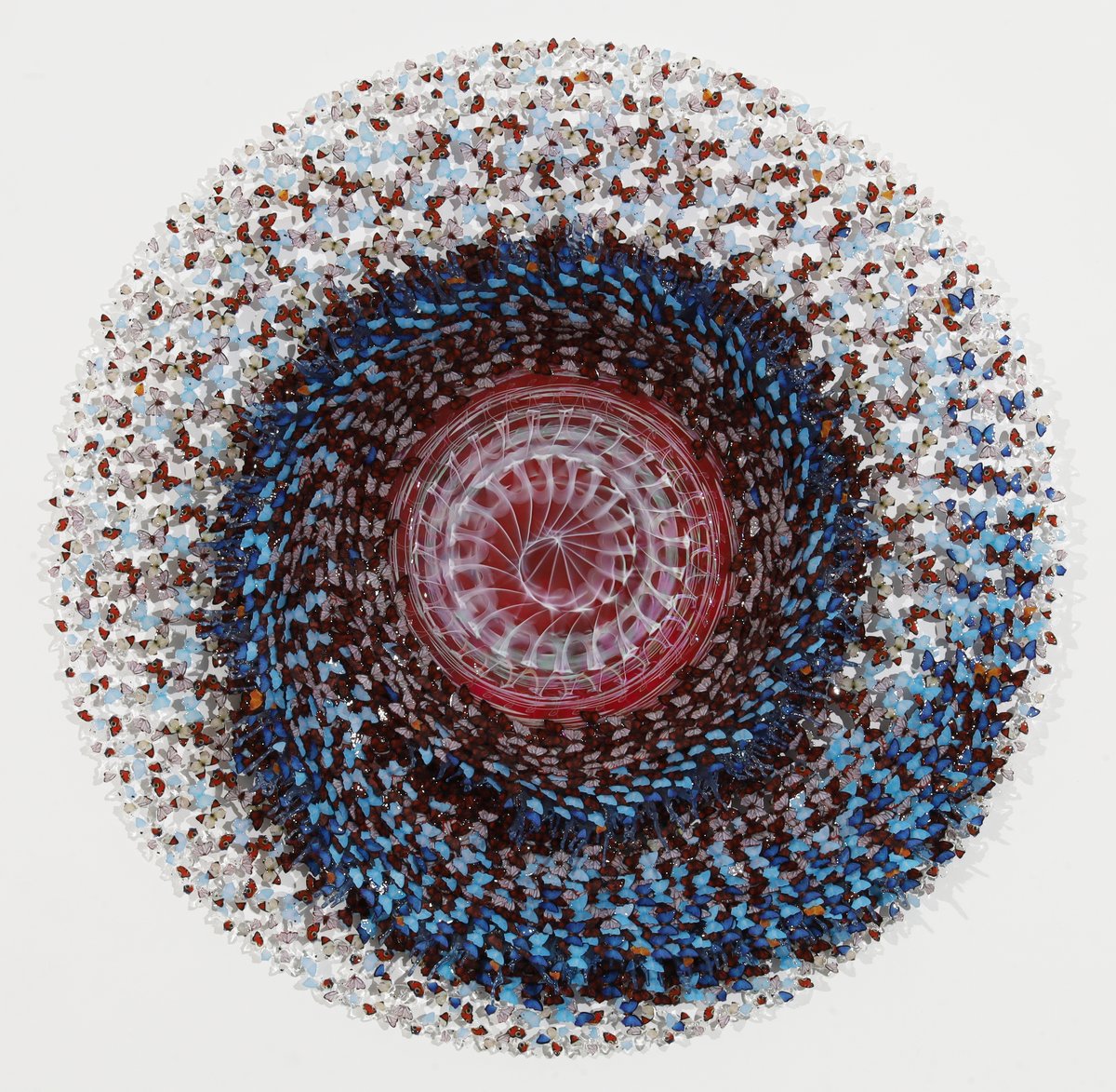 Dreamcatcher red energy