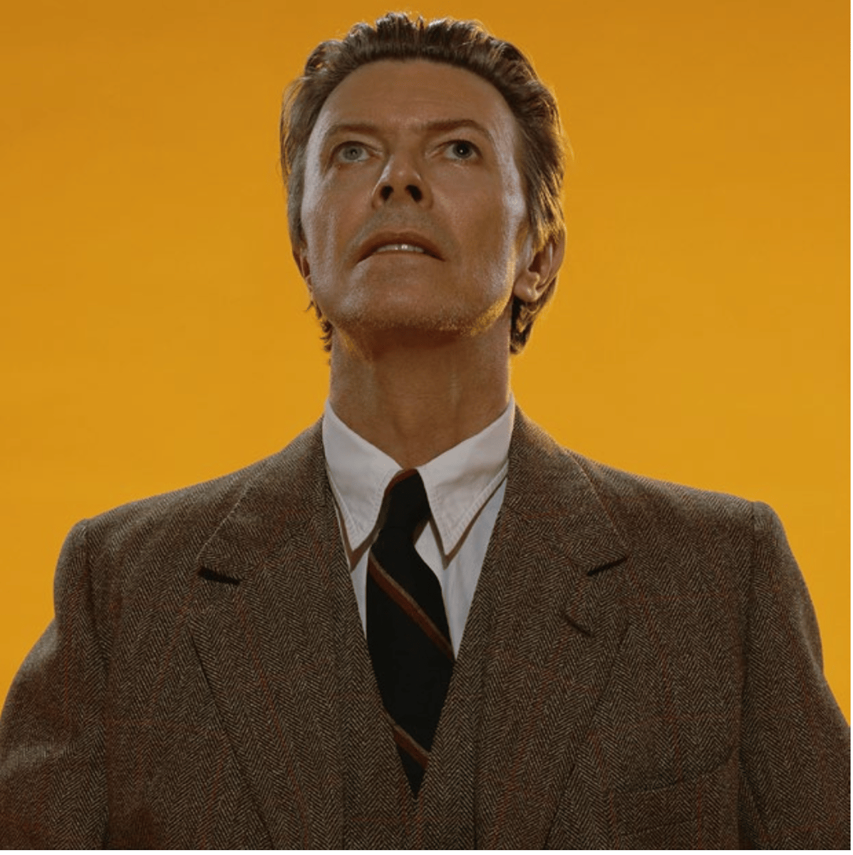 David Bowie : The Encounter (small)