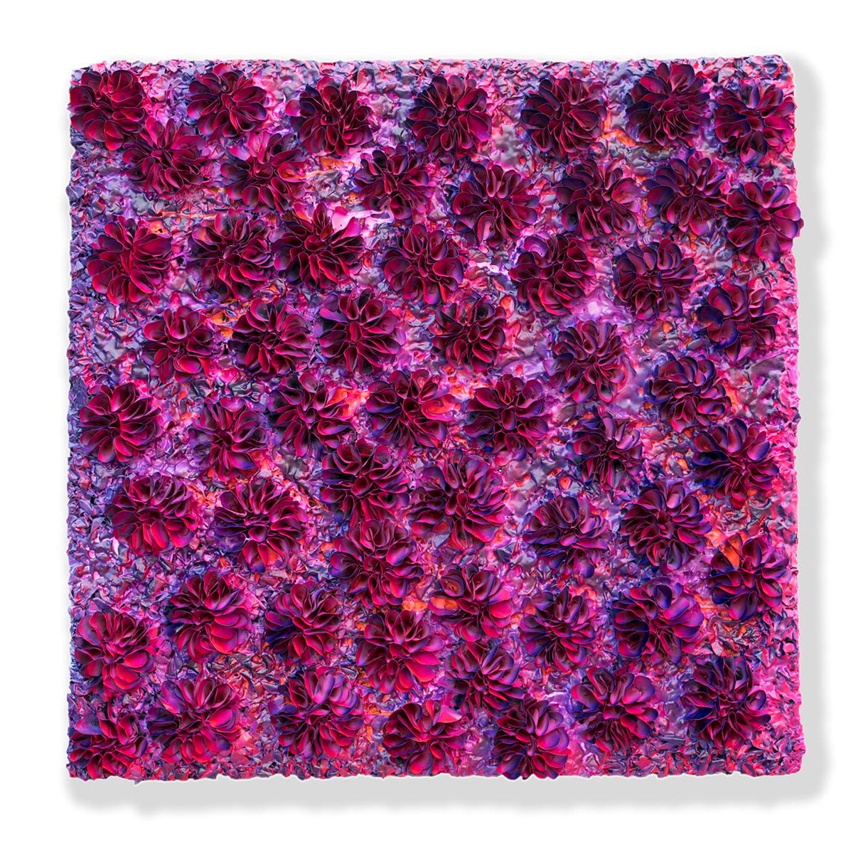 B19-C051