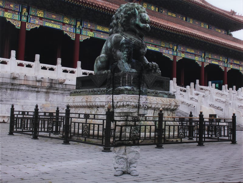 Hiding in the city No. 105 - Sleeping lion, 2012