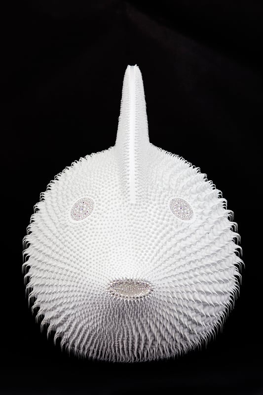 Poisson Lune Blanc, 2020 - (80 cm) — Eddy Maniez
