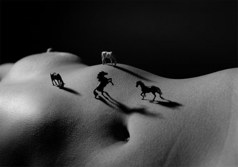Wild horses — J. Leo