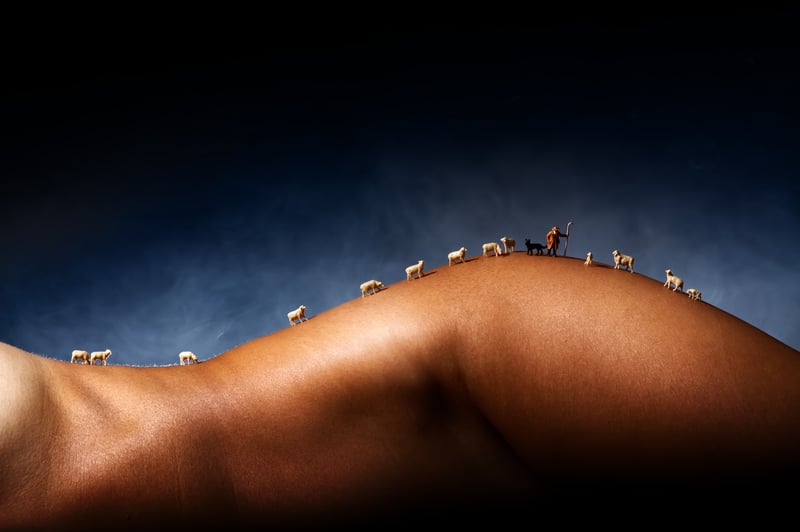 Les moutons de Valou II — J. Leo