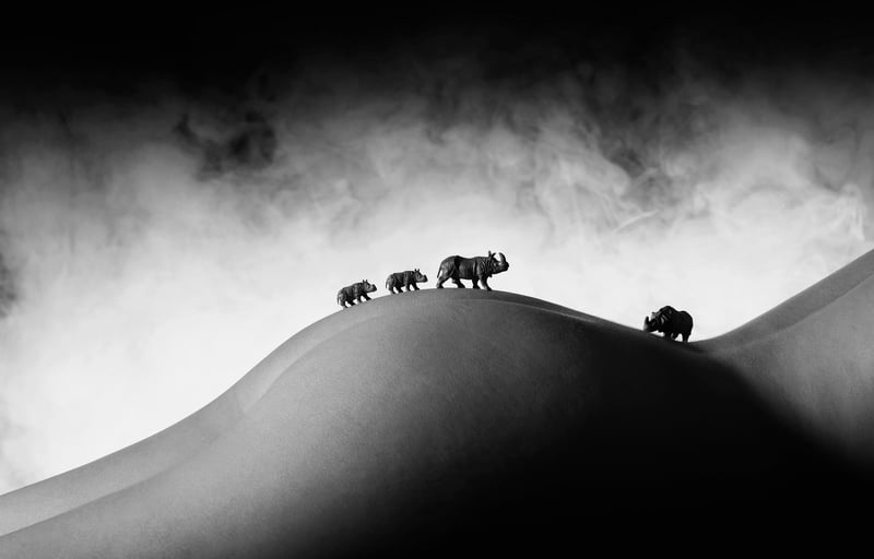 Rhino Family — J. Leo
