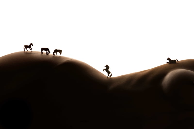 Wild life — J. Leo