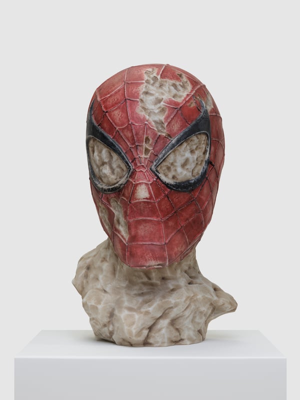 Aracne Head