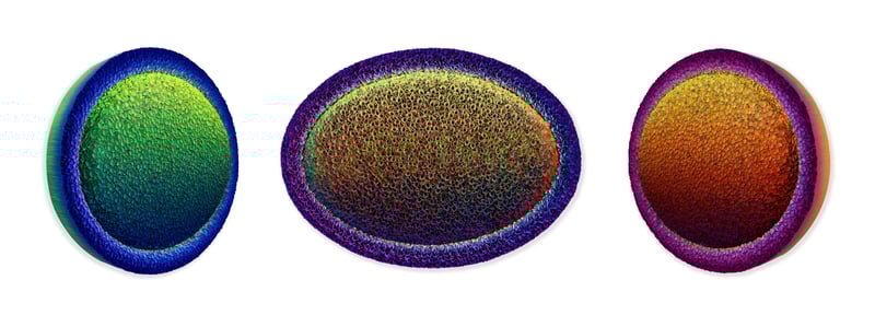 ZHY-B12354-Y-O