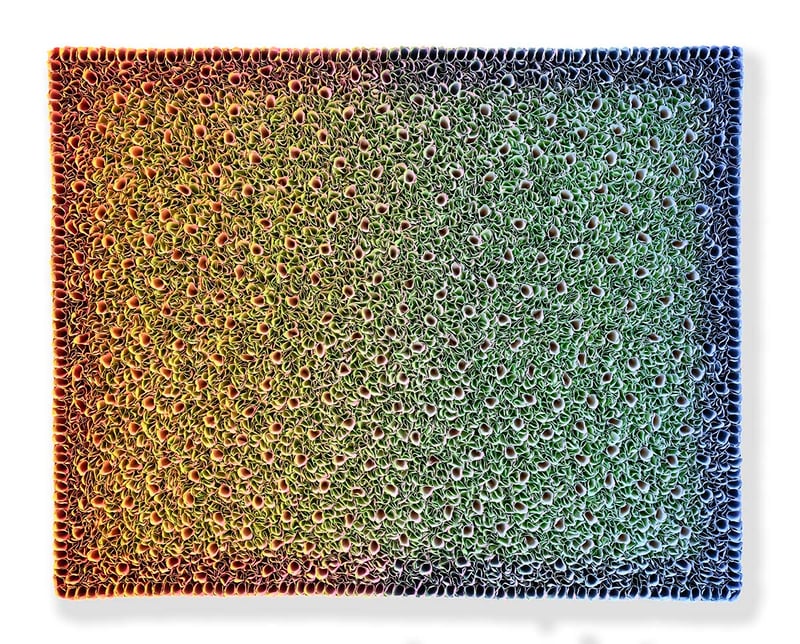 B19-D074