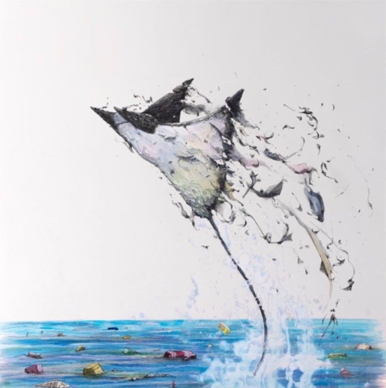 ANIMAUX : Bleu Petrole — Brusk