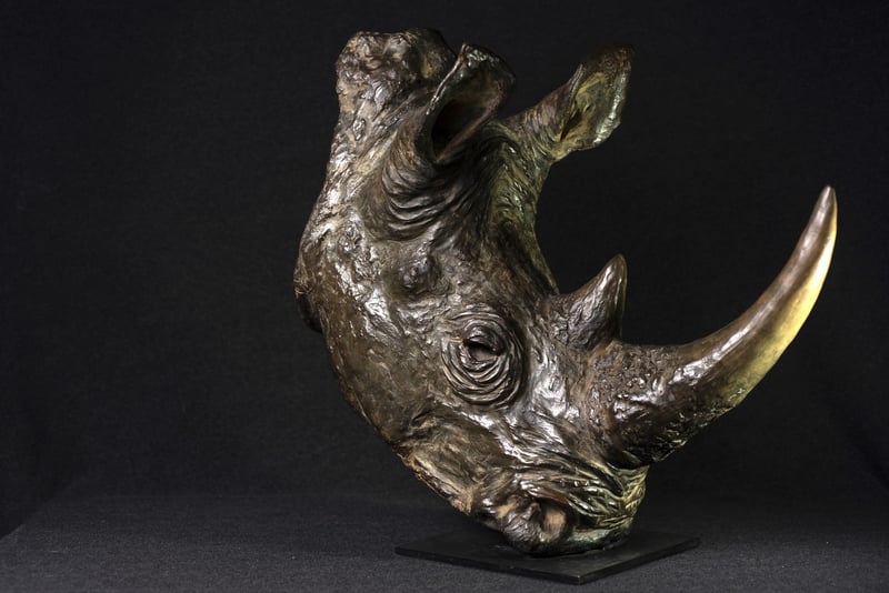 La tête de Rhinocéros