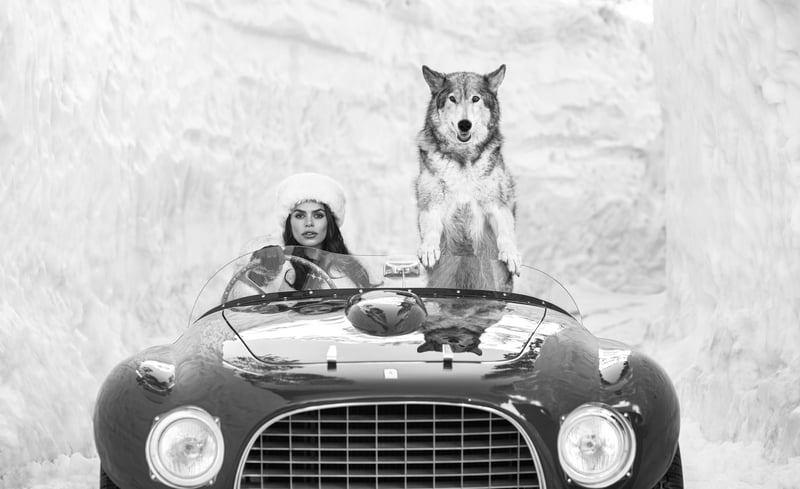 Driving Home for Christmas (B&W)