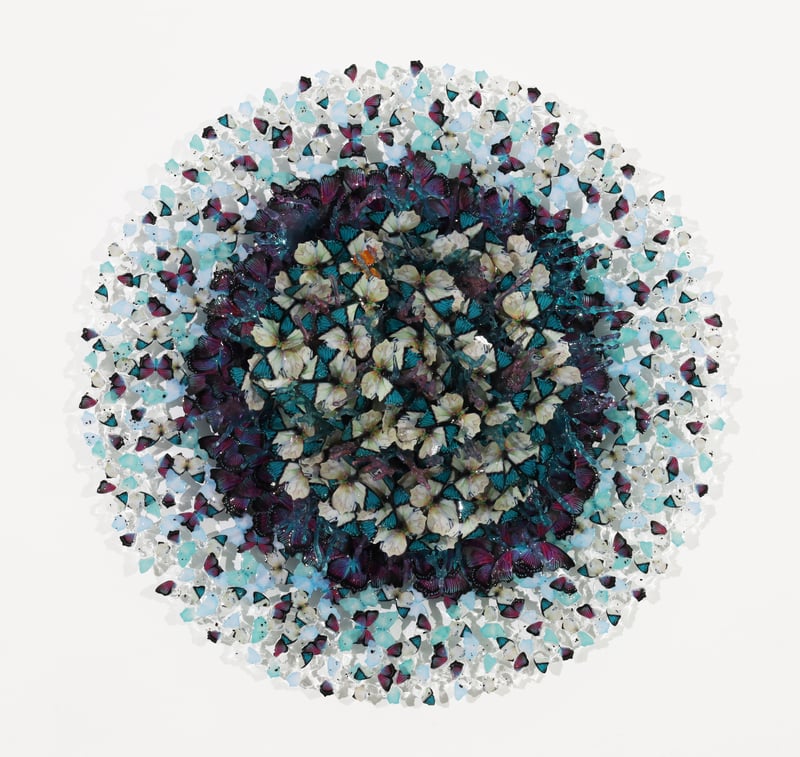 Dreamcatcher purple flight