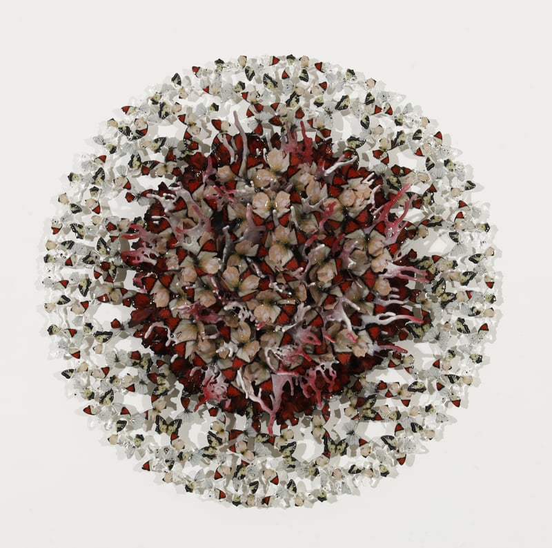 Dreamcatcher white thought