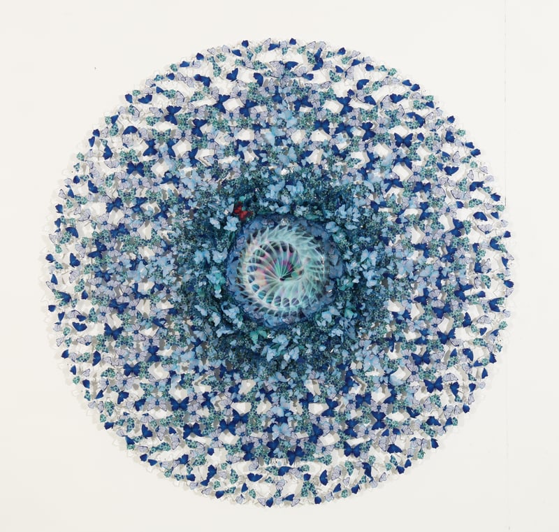 Dreamcatcher murrina