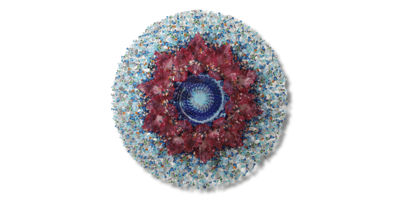 Dreamcatcher flowering