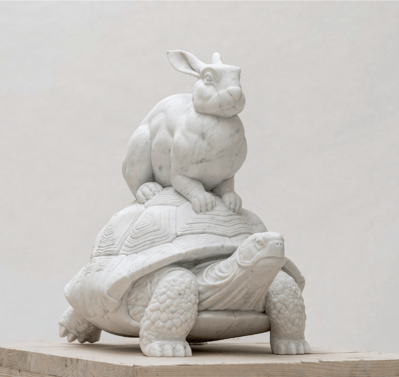 Hare and Tortoise