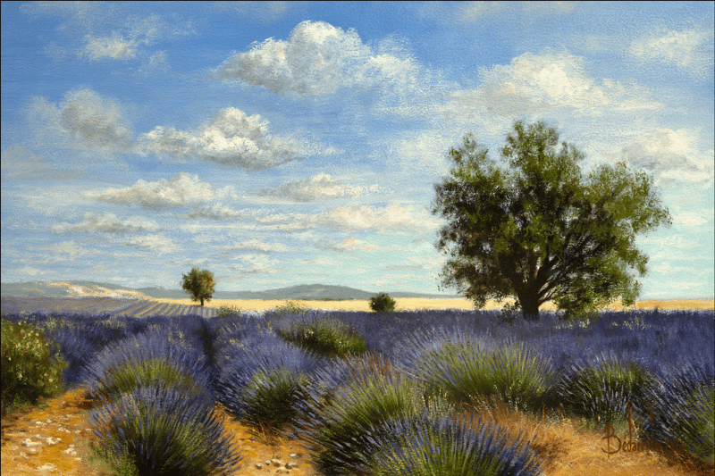 Plateau de Valensole