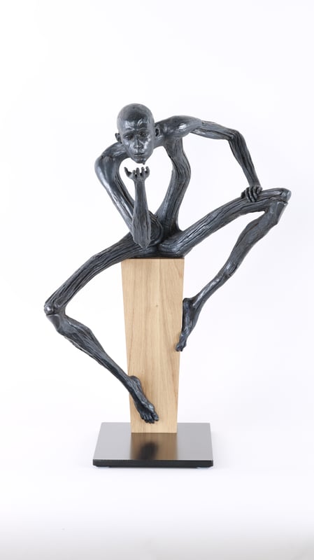 Le Baiser — Romain Tiercin