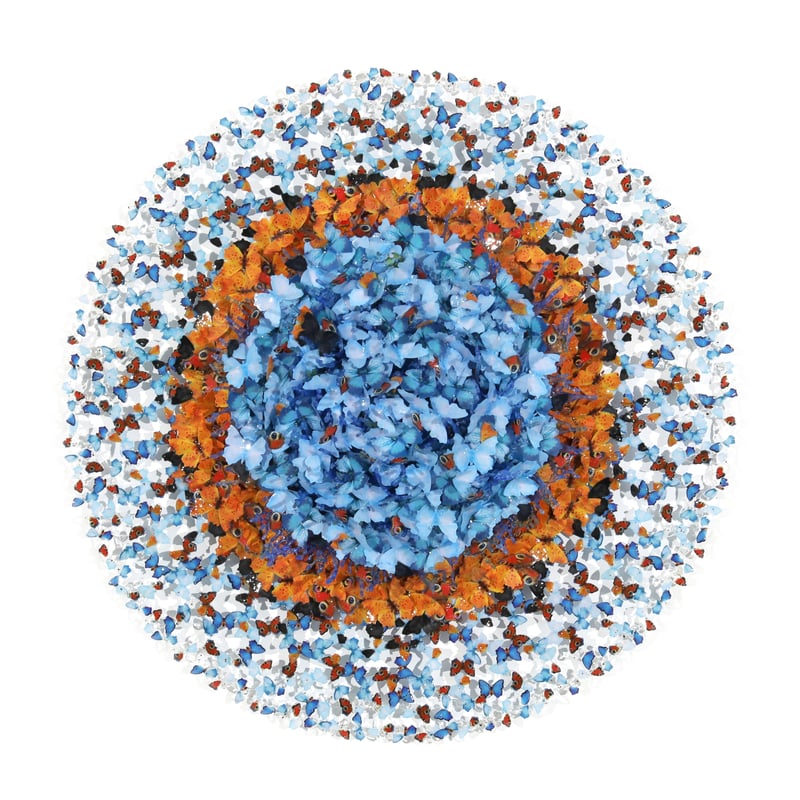 Dreamcatcher full breathe