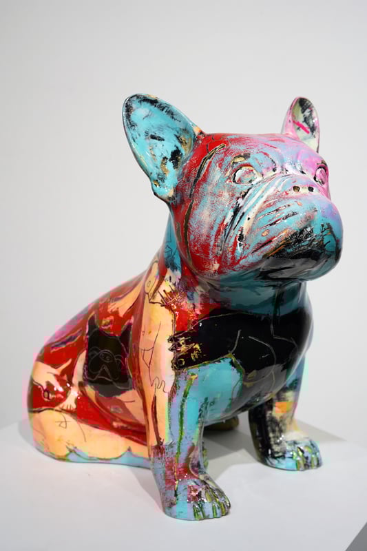 Doggy John rose / jaune / bleu / rouge