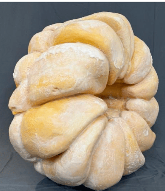 French Cruller Donut