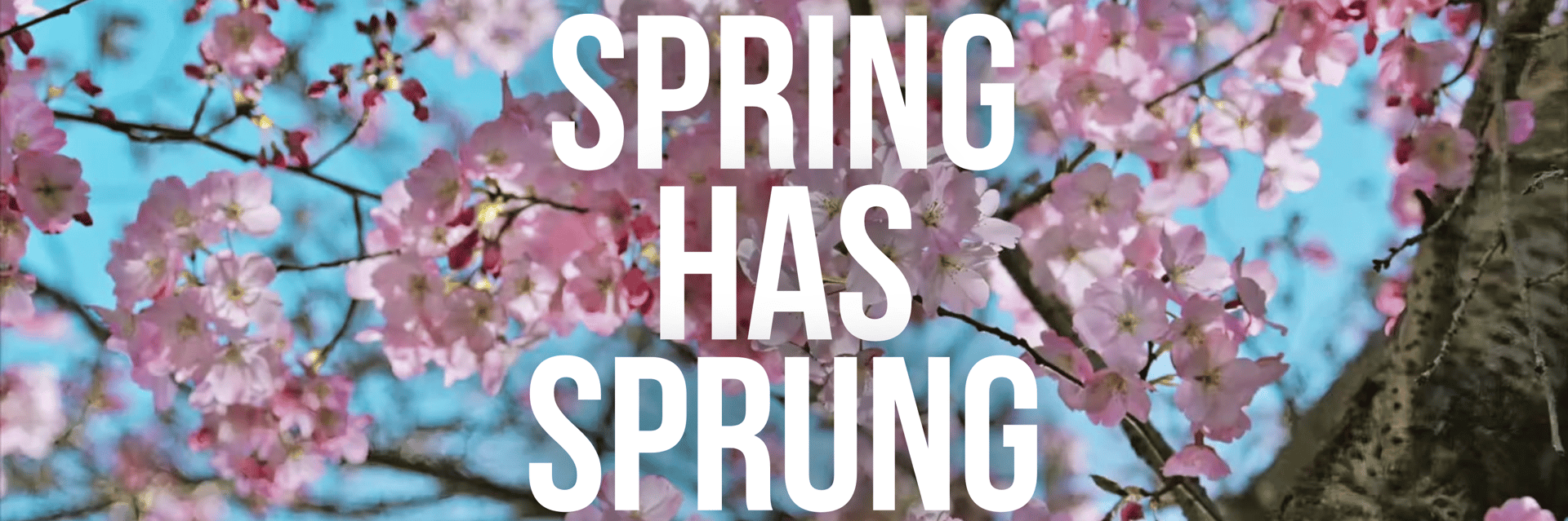 #ARTMATTERS: SPRING HAS SPRUNG