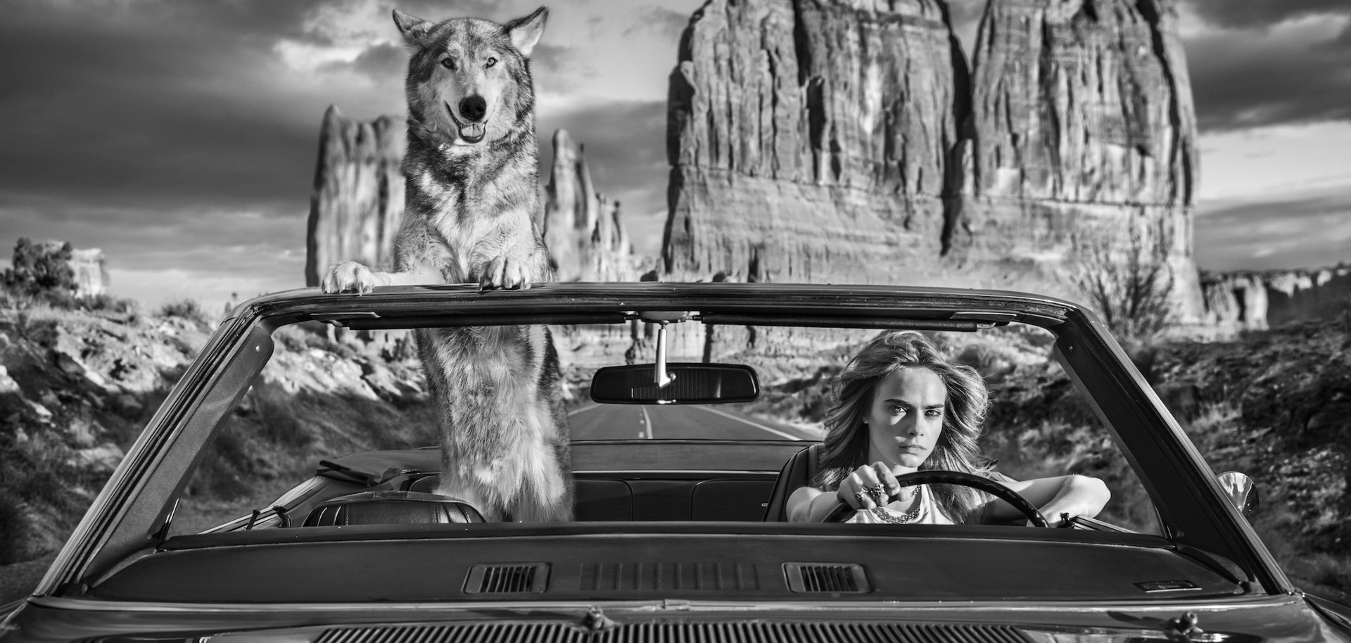 David YARROW