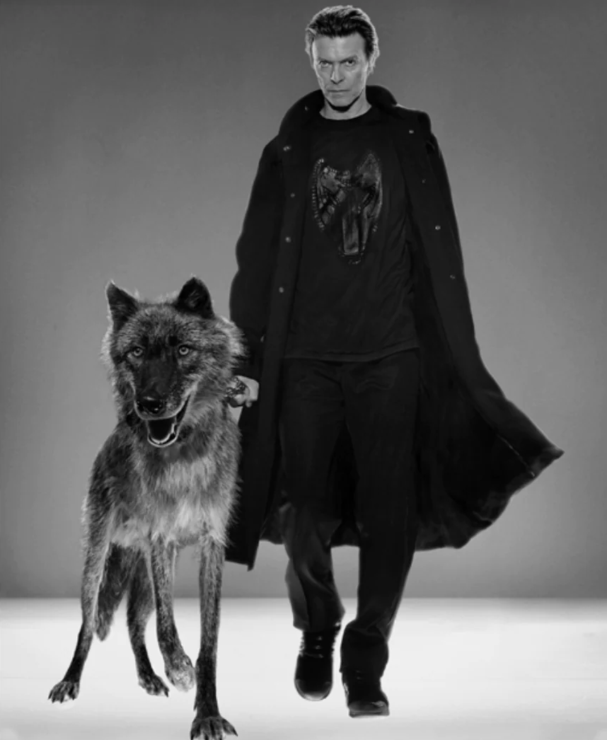 David Bowie : Natural Villains, B&W