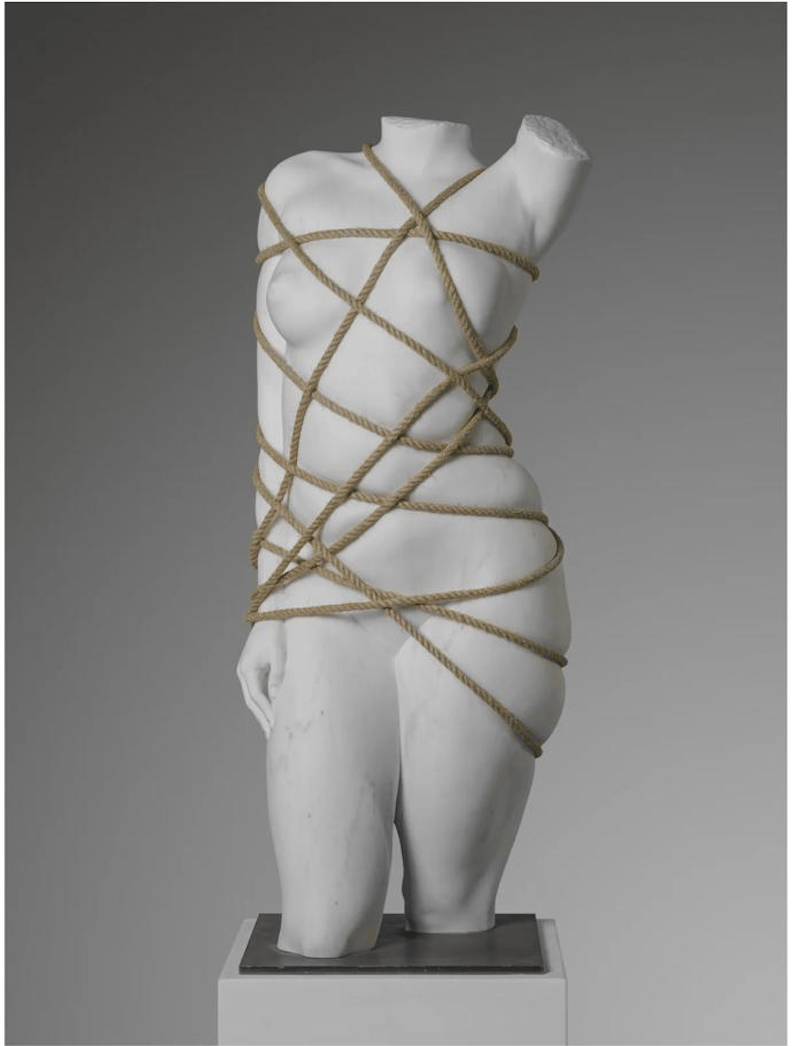 Venus Restricted