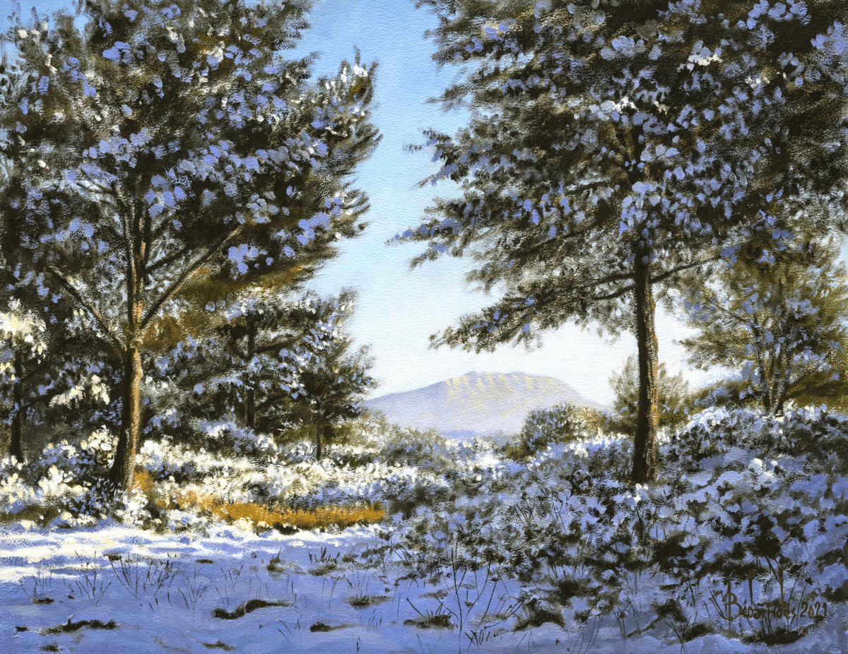 Neige au Montaiguet