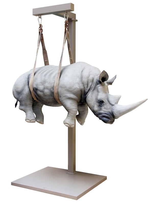 Il peso del tempo sospeso rhino XL
