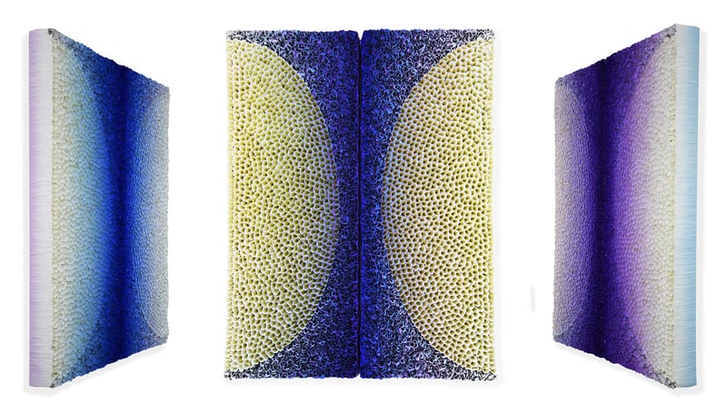Diptych B20-C024