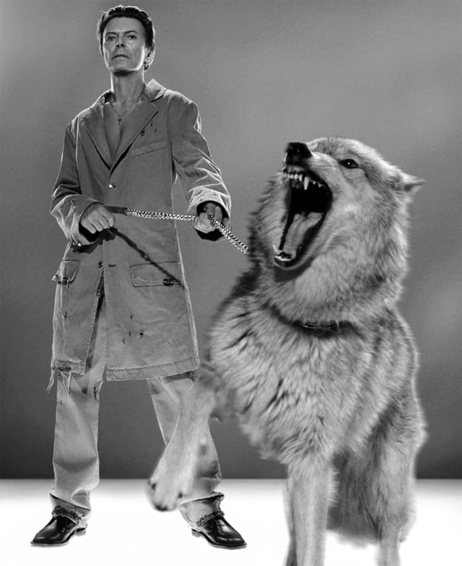 David Bowie : The Protector, B&W