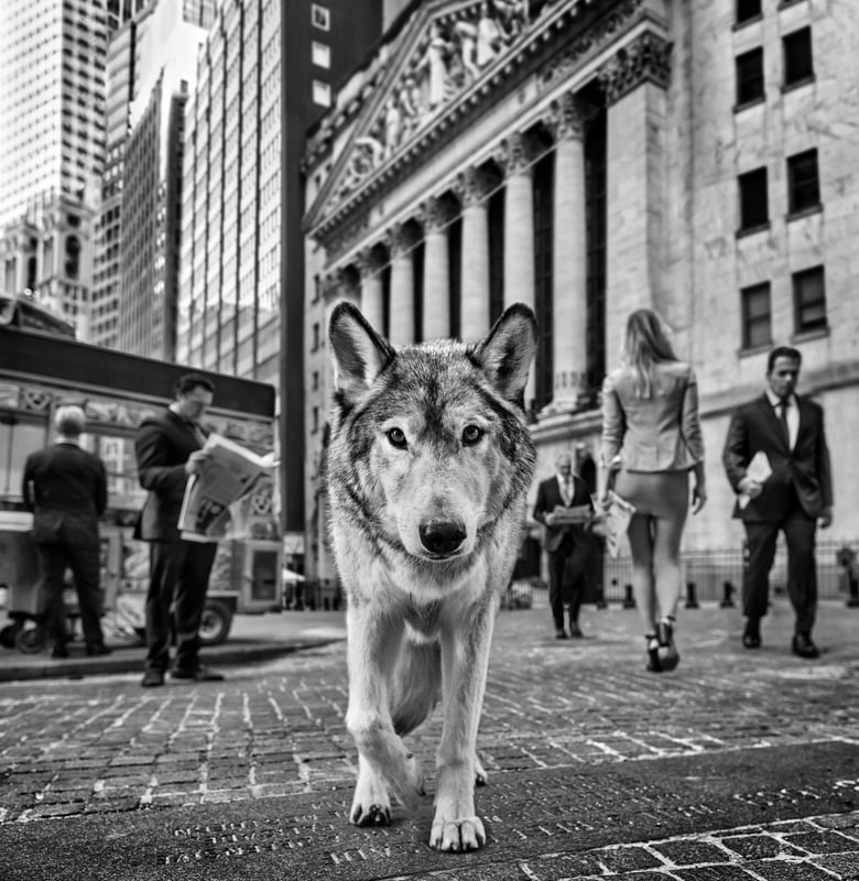 Once Upon A Time on Wall Street (B&W)