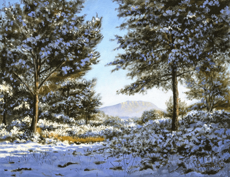 Neige au Montaiguet