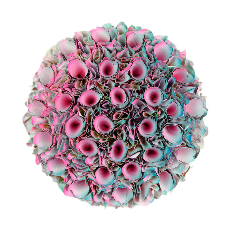 B21-R20cm-019