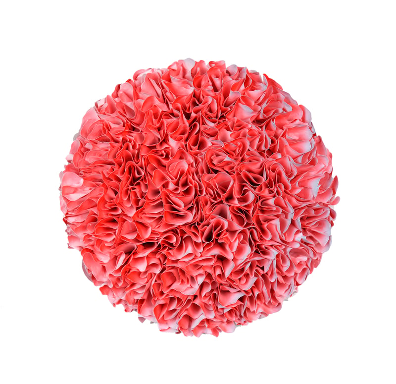 B21-R20cm-137