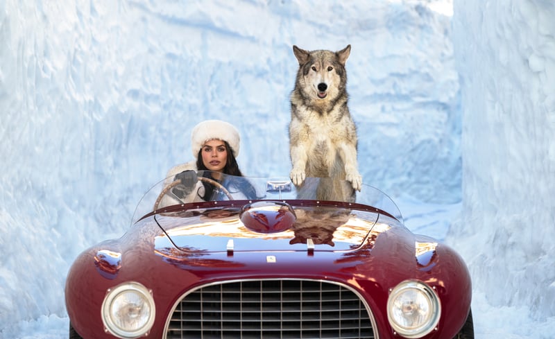 Driving Home for Christmas - colour (small)