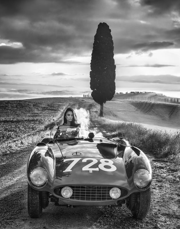 Cypress Point (B&W)